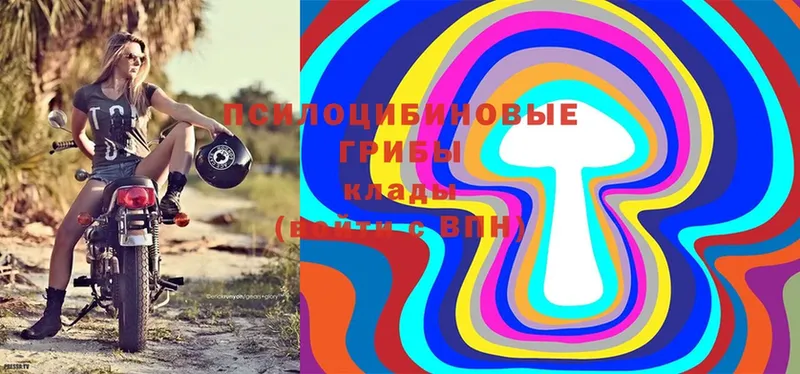 Галлюциногенные грибы Magic Shrooms Выборг